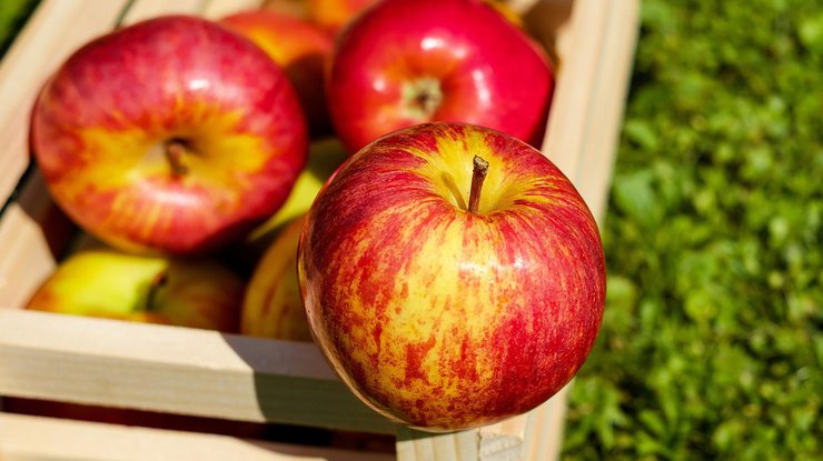 Фото: цены на яблоки 