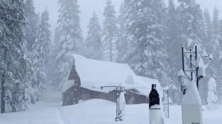 В Калифорнии впервые за 50 лет выпало более пяти метров снега / Фото: twitter.com/Bearberner1