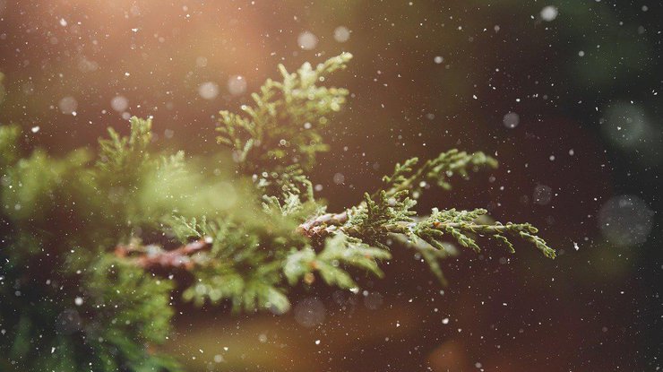 Зима / Фото: Pixabay