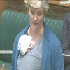 Британській депутатці не дозволили взяти участь у засіданні з тримісячною дитиною