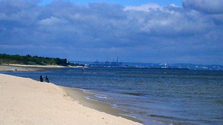 Пляж, куда чуть не врезался сухогруз/ фото: polskieradio.pl