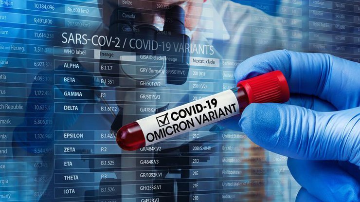 Штамм коронавируса "Омикрон"/ фото: Pixabay