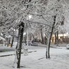 Снег и дожди: синоптики дали прогноз погоды на 8 декабря 