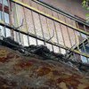 В Днепре мужчина жестоко убил 20-летнюю возлюбленную