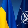 Вступление Украины в НАТО: в США назвали сроки