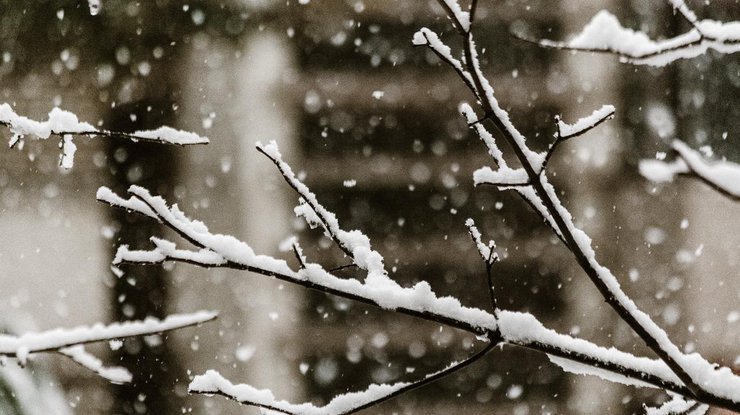 Фото: снег / Pexels