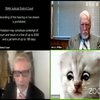 У США прокурор Техасу випадково ввімкнув "котячий" фільтр під час судового онлайн-засідання (відео)