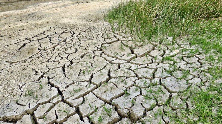 Украине грозит засуха 