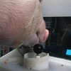 Ученые обучили свиней играть в компьютерные видеоигры