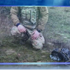На Луганщині знайшли гранати та вибухівку