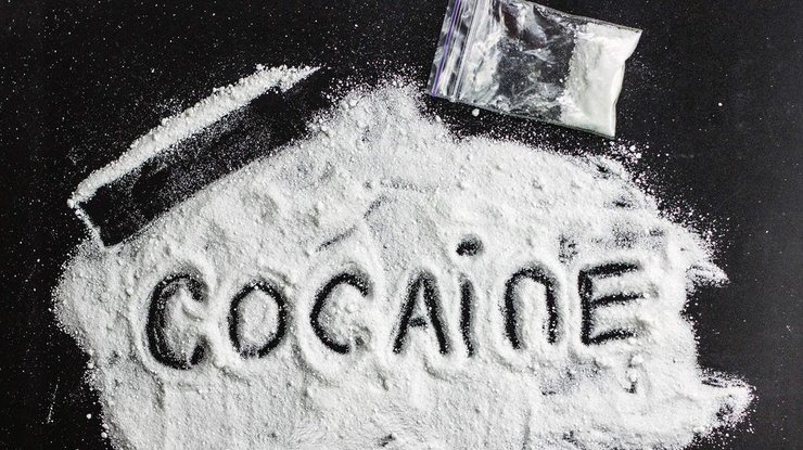 Полиция обнаружила более 23 тонн кокаина, который прибыл в контейнерах из Южной Америки