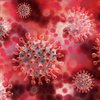 Медики в панике: новый штамм коронавируса снижает эффективность вакцины