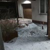 Под Харьковом во дворе дома взорвалась граната