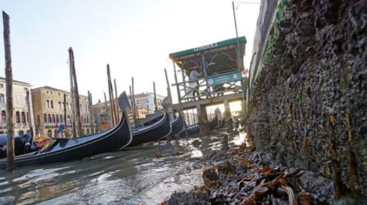 В Венеции после декабрьского наводнения пересохли каналы
