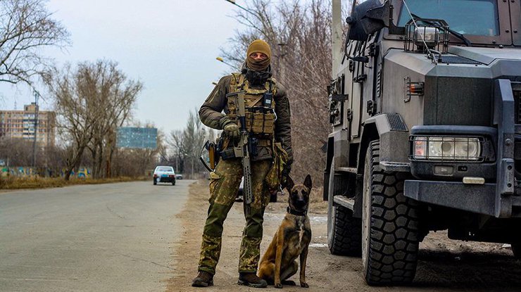 Военнослужащие обнаружили боевые гранаты в прифронтовой зоне Авдеевки/фото: facebook