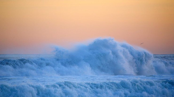 Тихий океан/ Фото: Pixabay