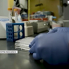 Американські вчені досягають успіху у розробці вакцини проти ВІЛ