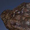 Метеорит из Одессы продадут за 260 тысяч долларов