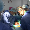 Новороджена професія: як в Україні працюють трансплант-координатори?