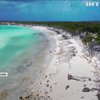 Найбільший приватний острів Багамського архіпелагу виставили на аукціон