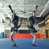 Boston Dynamics представила нового робота (видео)