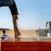 Украина запретила импорт из России пшеницы, ржи и подсолнечного масла