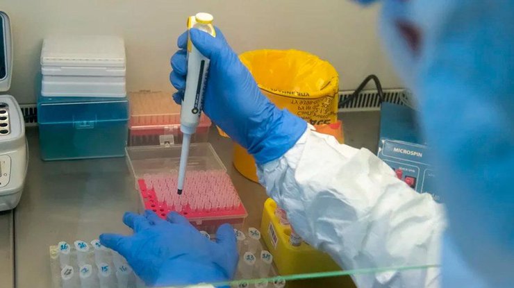 Открытие было сделано в Ивано-Франковске при секвенировании образцов материала/ фото: Rg.ru