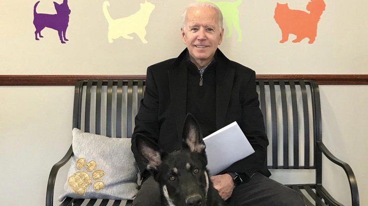 Президент США Джо Байден и его собака