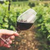 Ученые опровергли пользу красного вина