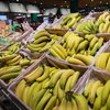 Бананы оказались под угрозой исчезновения и резко подорожают