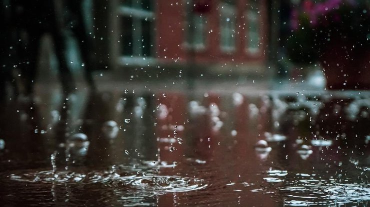 Фото: дождь / Pexels