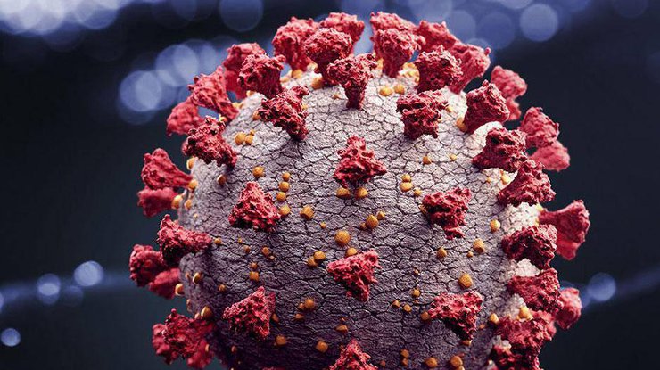 Новая мутация коронавируса на 70% заразнее