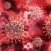 В Британии коронавирус стал "лекарством" от смертельной болезни