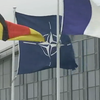 Посли країн НАТО обговорили загострення на Донбасі
