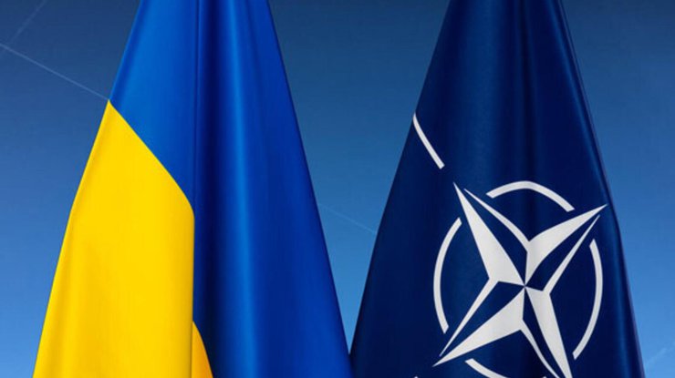 Фото: Украина и НАТО