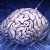 Невероятное открытие: напечатан экспериментальный мозг для исследования коронавируса 