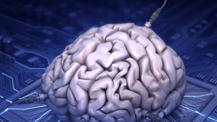 Биочипы способны дать шансы на выживание поврежденным тканям головного мозга/ фото: HotGeo
