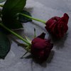 "Оппозиционная платформа - За жизнь" выражает глубокие соболезнования родным и близким жертв казанского теракта