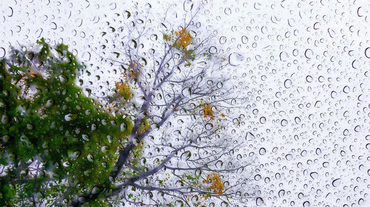 Фото: дождь / funart.pro
