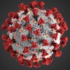 В США нашли доказательства лабораторного происхождения коронавируса
