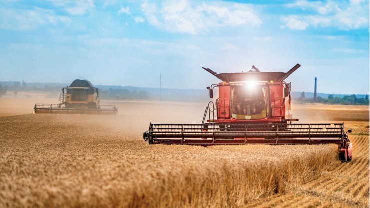 Из украинских полей будет собрано 100 миллионов тонн урожая/ фото: Delo.ua