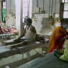 В Індії зафіксували смерть від "чорного грибка"