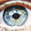 Жизнь в красках: проведен уникальный эксперимент по восстановлению зрения