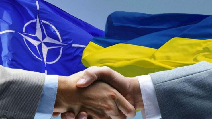 Партнерство Украины с НАТО/ Фото: ua.news