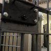 Тюрьма с молотка: Львовская колония продается за рекордную сумму