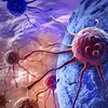 Война со смертью: найден уникальный способ борьбы с раком 