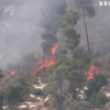 Пожежа в Єрусалимі: вигоріло понад тисячу гектарів лісу