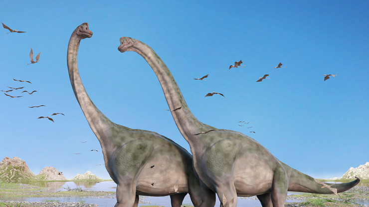 Новый вид жил на планете более 90 миллионов лет назад/ фото: Rg.ru