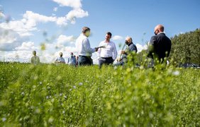 Открытие рынка земли: как получить кадастровый номер участка и оформить договор на землю