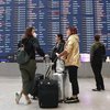 Россия возобновляет полеты в Турцию: когда туристы появятся на курортах